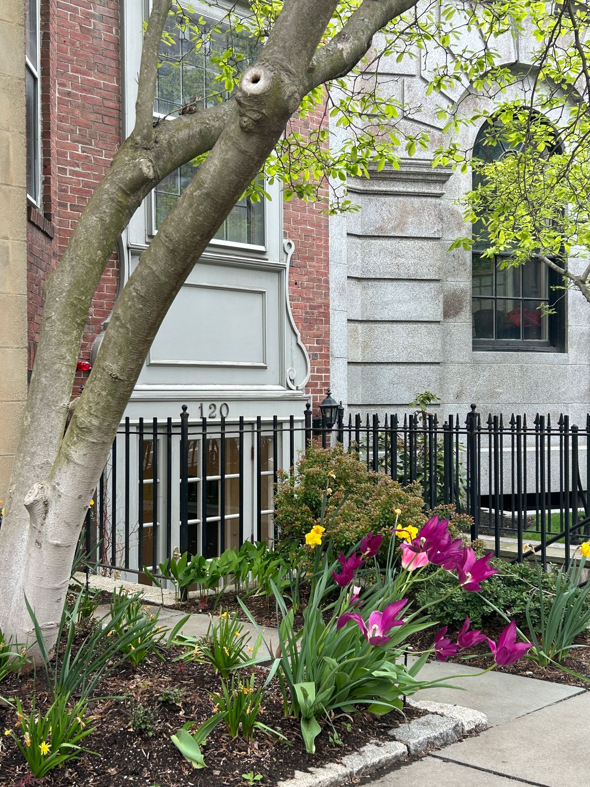 120 Beacon St. Unit 1A — Photo 14